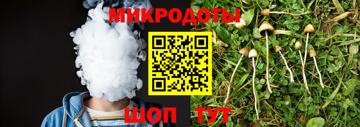 Псилоцибиновые грибы GOLDEN TEACHER Волгоград