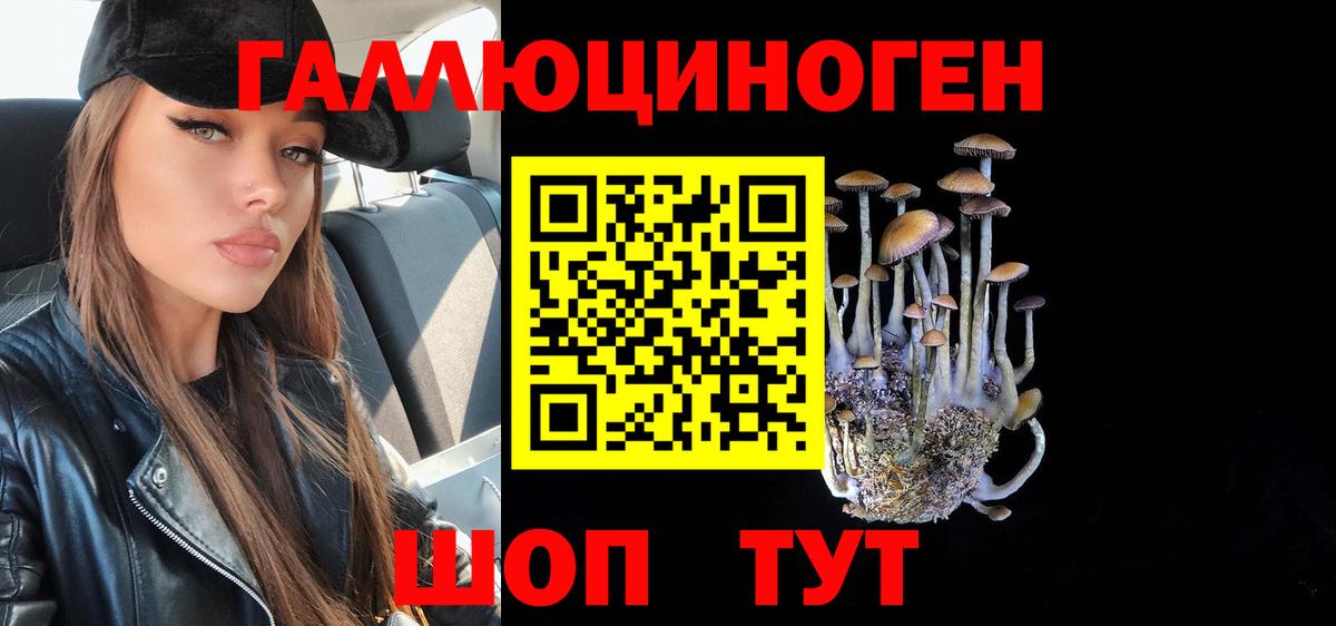 Галлюциногенные грибы MAGIC MUSHROOMS  Вход с VPN  Псилоцибиновые грибы Magic Shrooms  Волгоград 
